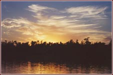 Florida Sunset
